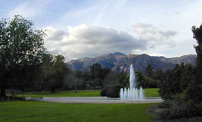arboretum hills: