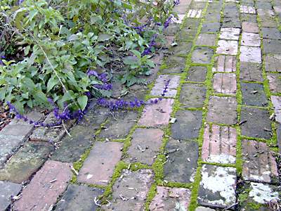 brick purple green: