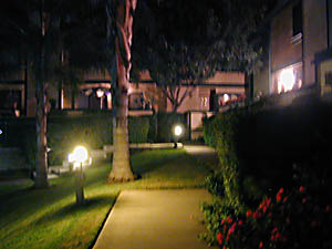 condo nightsidewalk: 