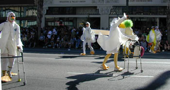 lame ducks: