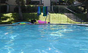 pool shady shallow end: