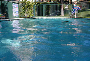pool sunny deep end: