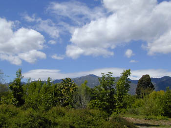 san gabriels picture perfect: 