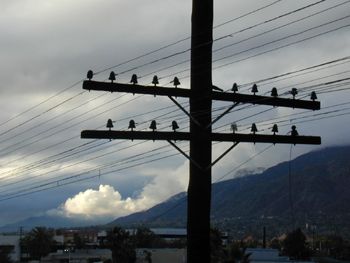 sgv cloud fonepole: