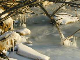 Shore Icicles: 