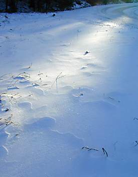 Snow Dune: