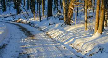 Snow Light Shadow: 