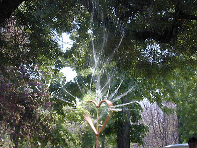 sprinkler: 