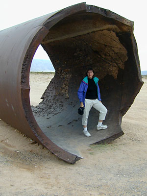 susan jumbo: