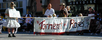 torment of roses: