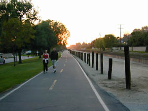 trail 1: 