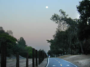 trail 4: 