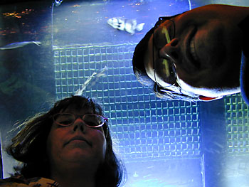 al susan undersea: