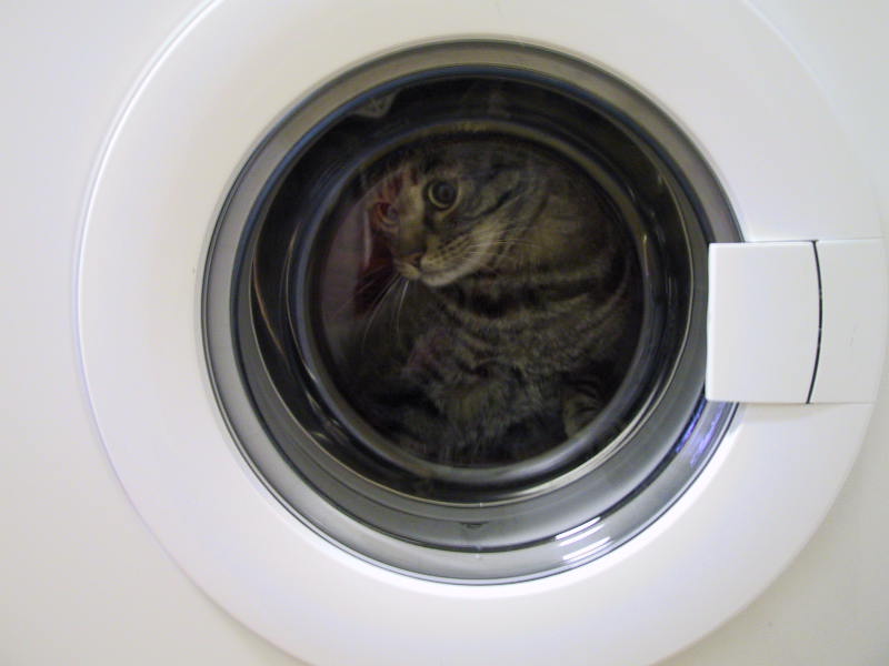 http://static.userland.com/images/apolloni/wash.jpg