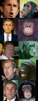 Curious George