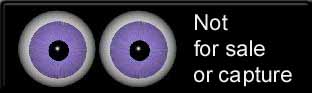 Not for sale or capture: Eyeball Banner