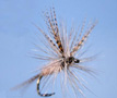 Fish Fly: 