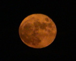 July Moon: 