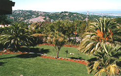 View from office deck