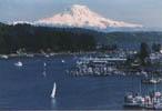 Mt. Ranier