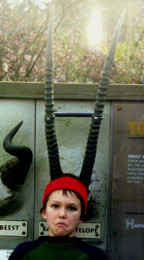 Codylope: Strange creatures have recently been seen at the Portland Zoo.