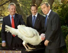 turkeyBush: From Yahoo.