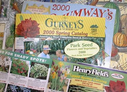 seedCatalogsImage jpg