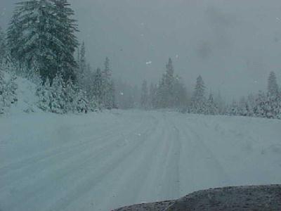 A Winter to remember!: 