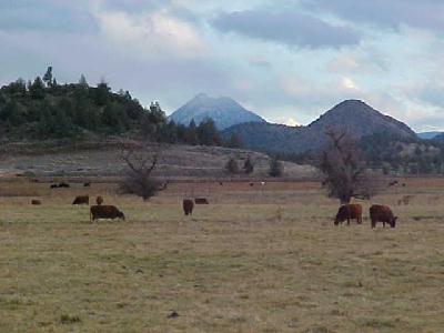 Black Butte from De Souza Road Dec 2003: 