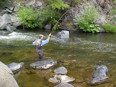 Fighting a trout Bob Quillin: 