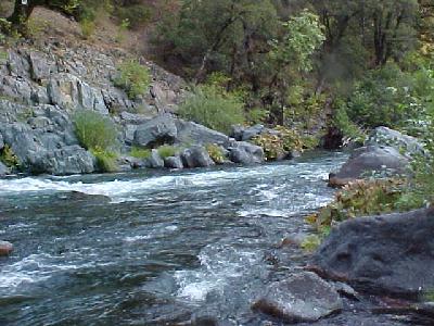 Rivers can heal you: 