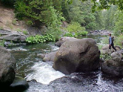 Bob Quillin wading big rocks in canyon: 