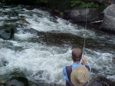 Nymphing the V on the Sac: 