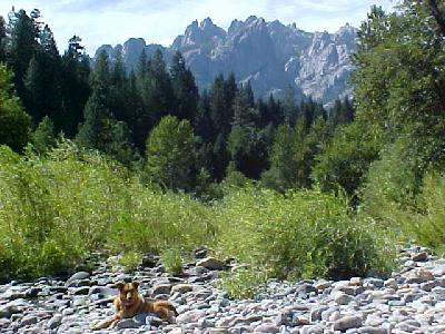 Castle Crags and Shasta Dog Aug 2003: