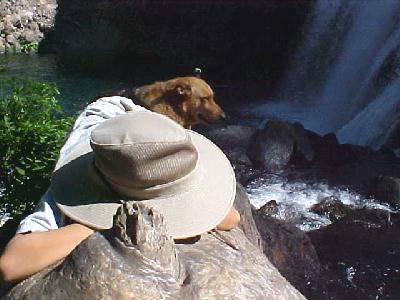 Cat nap at middle falls: 