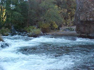 Chatterdown Creek and Mccloud River 2003: 