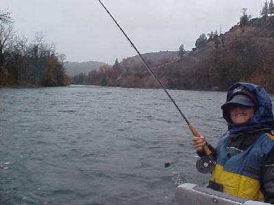 Little Meissner with one on!!: 