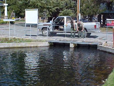 DFG MT SHASTA HATCHERY: 