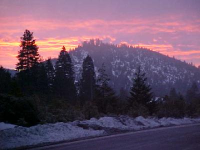 Spring Hill Wnter Morning: