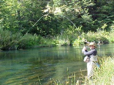 Spring Creek Fishing!: