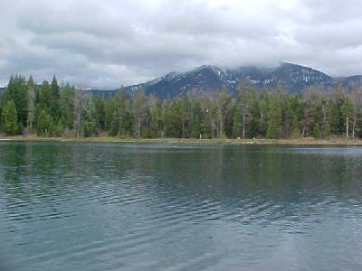 Frog Lake Henderson Springs: 