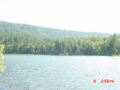 Frog Lake Henderson Springs 2003: 