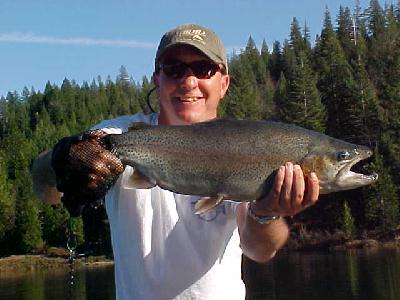 Henderson Springs Lunk 2004: 