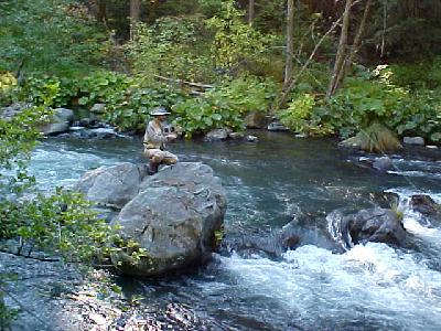 Patrick Henry 1st trout on the McCloud: 