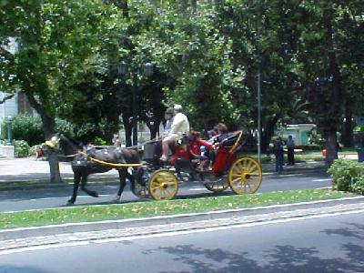 Horse Buggy: 