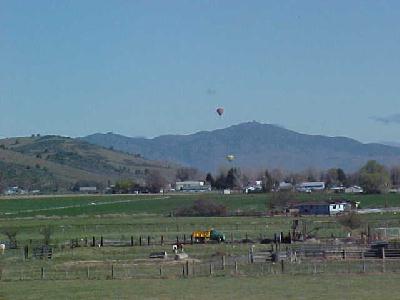 Hot Air Baloons in flight: 