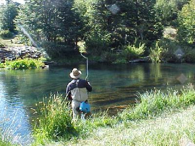 Jack Trout Casting in the Spring Creek: