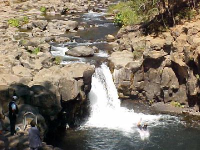 Jack trout Diving into lower falls: 