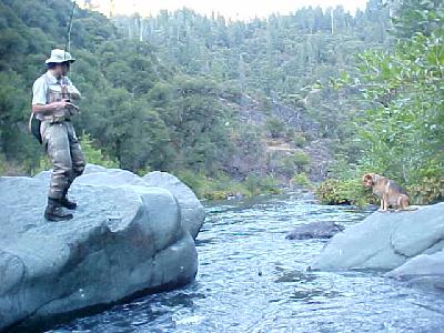 Jean Michel Camloop Rock: