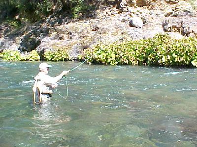 Joe Ciatti Fishing: